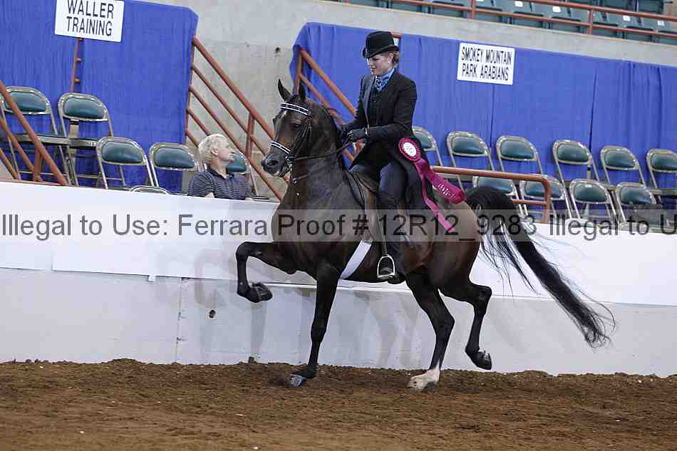 Proof Number 12r12_9283