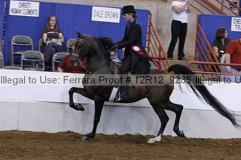 Proof Number 12r12_9285