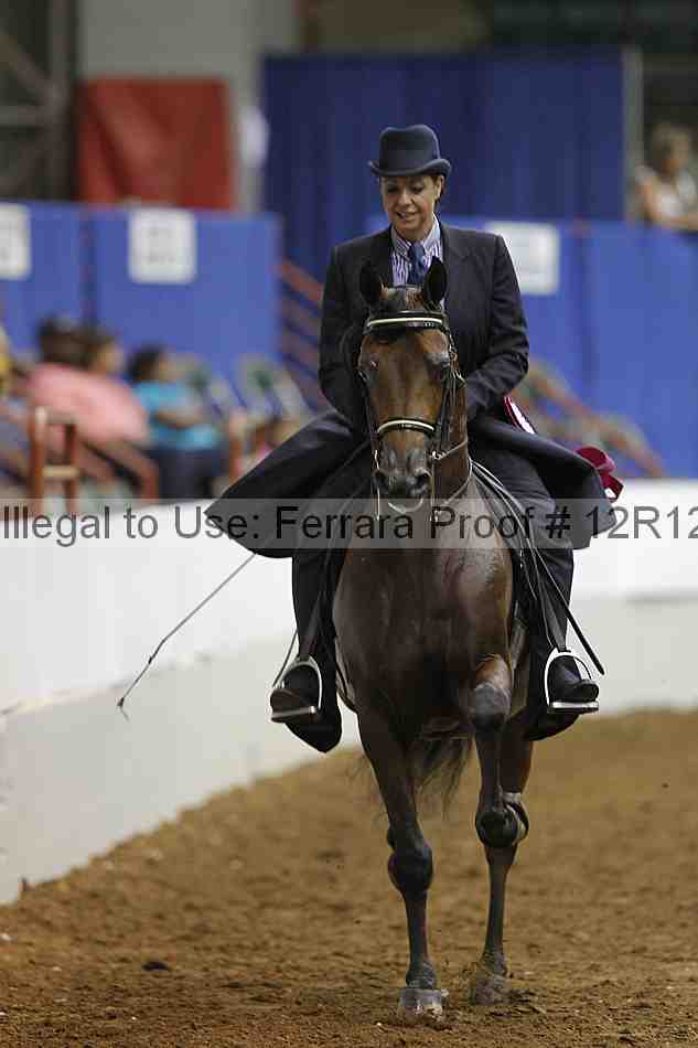 Proof Number 12r12_9292