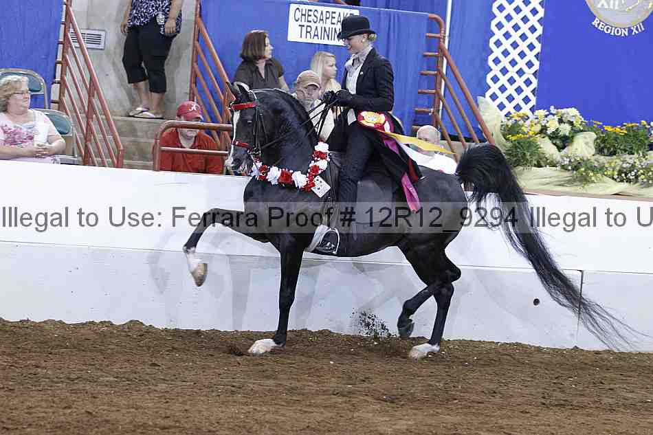 Proof Number 12r12_9294
