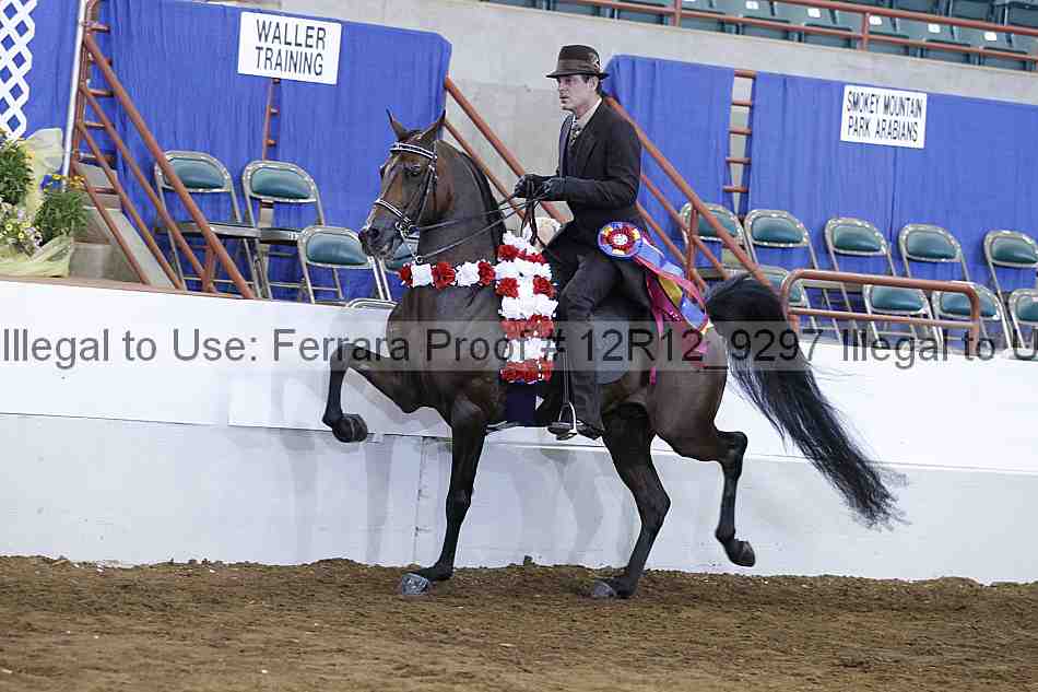 Proof Number 12r12_9297