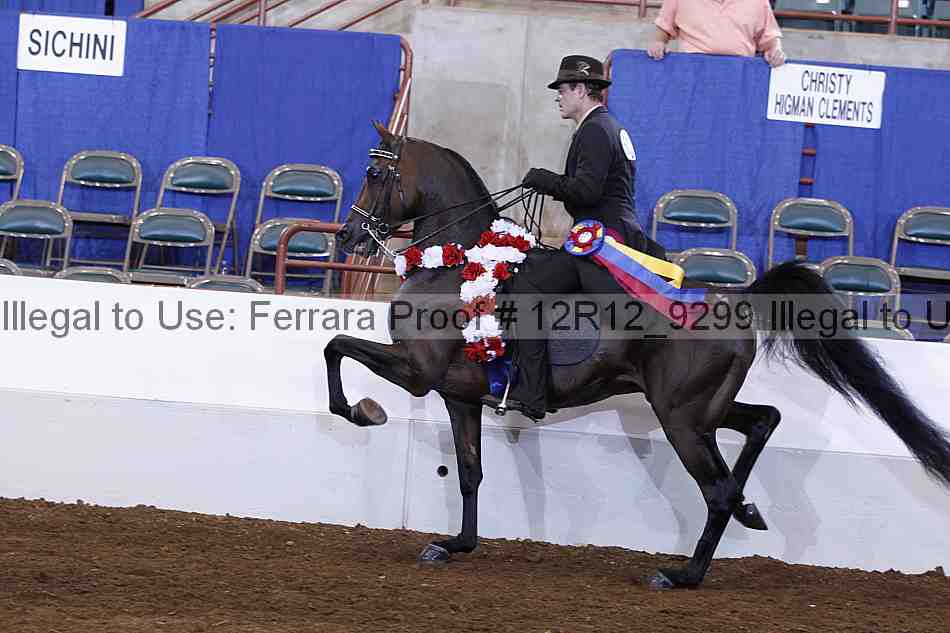 Proof Number 12r12_9299