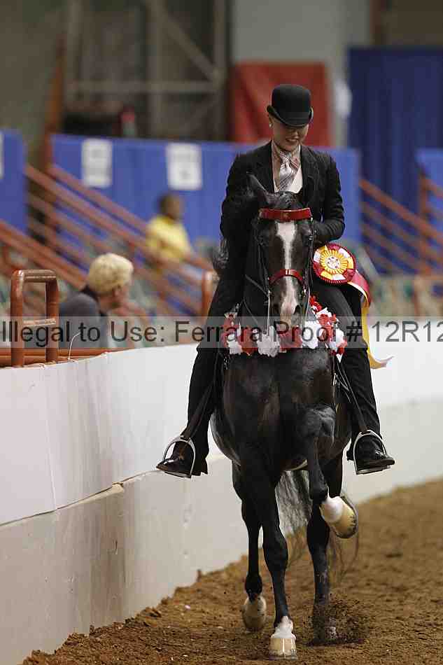 Proof Number 12r12_9301