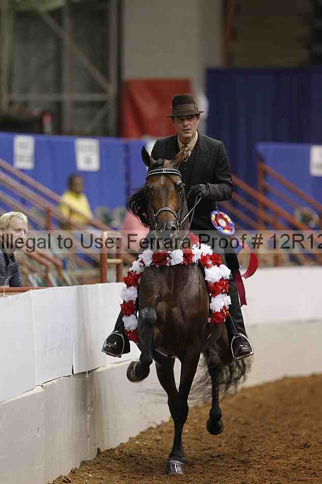 Proof Number 12r12_9303