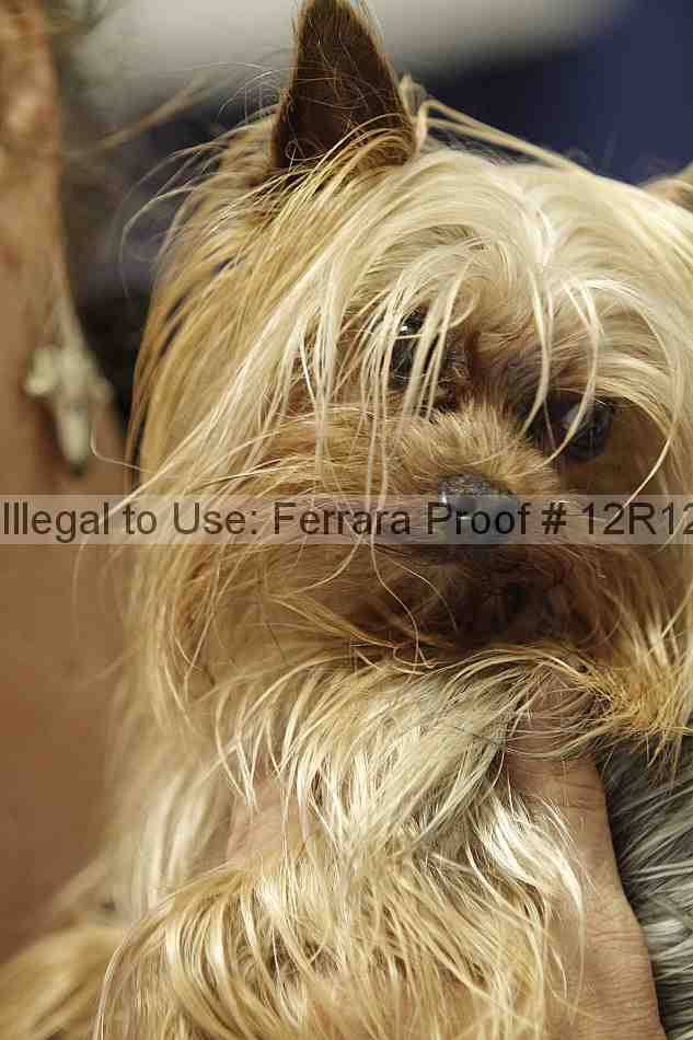 Proof Number 12r12_5945