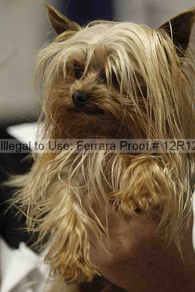 Proof Number 12r12_5948