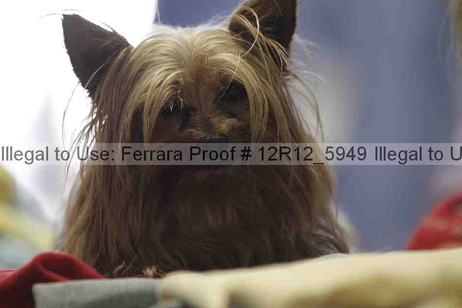 Proof Number 12r12_5949