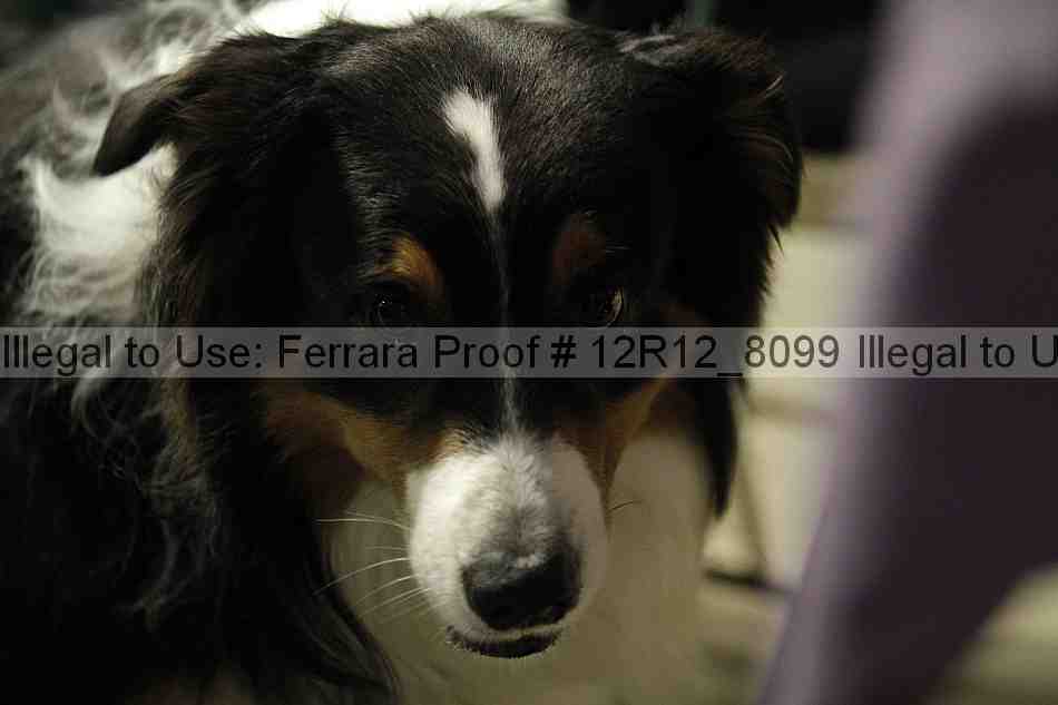 Proof Number 12r12_8099