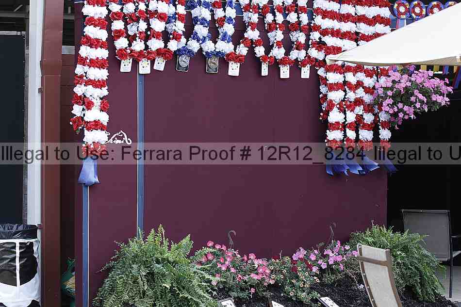 Proof Number 12r12_8284