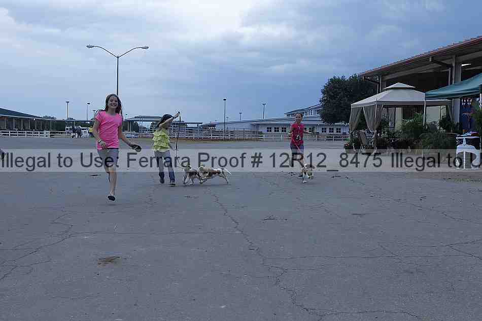Proof Number 12r12_8475