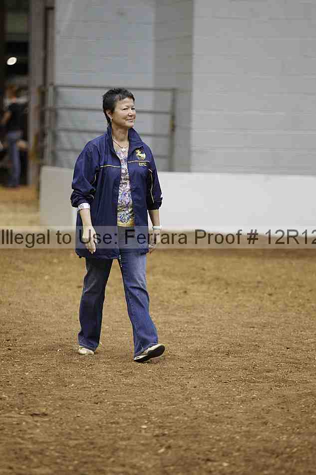 Proof Number 12r12_9065