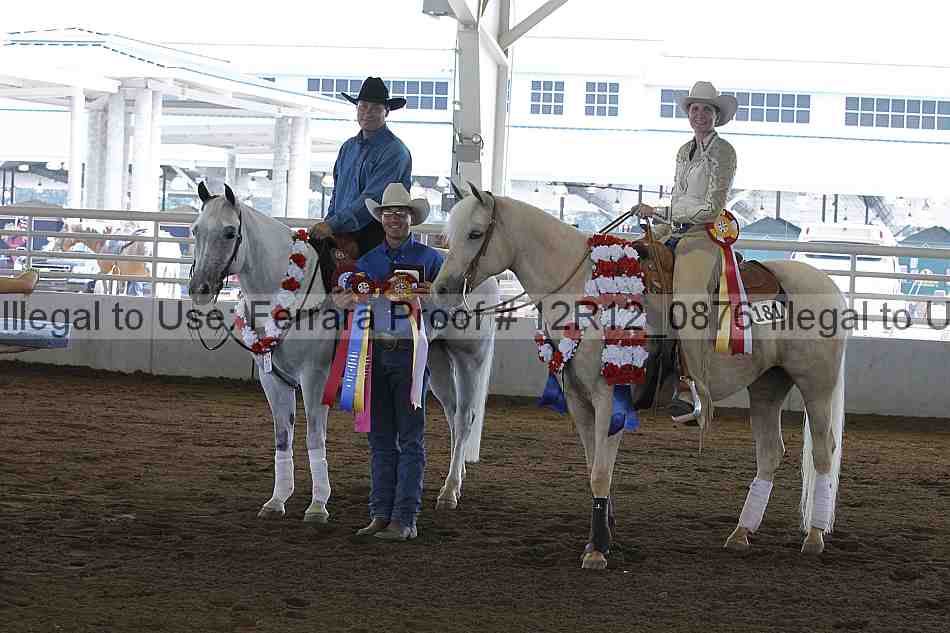Proof Number 12r12_0876