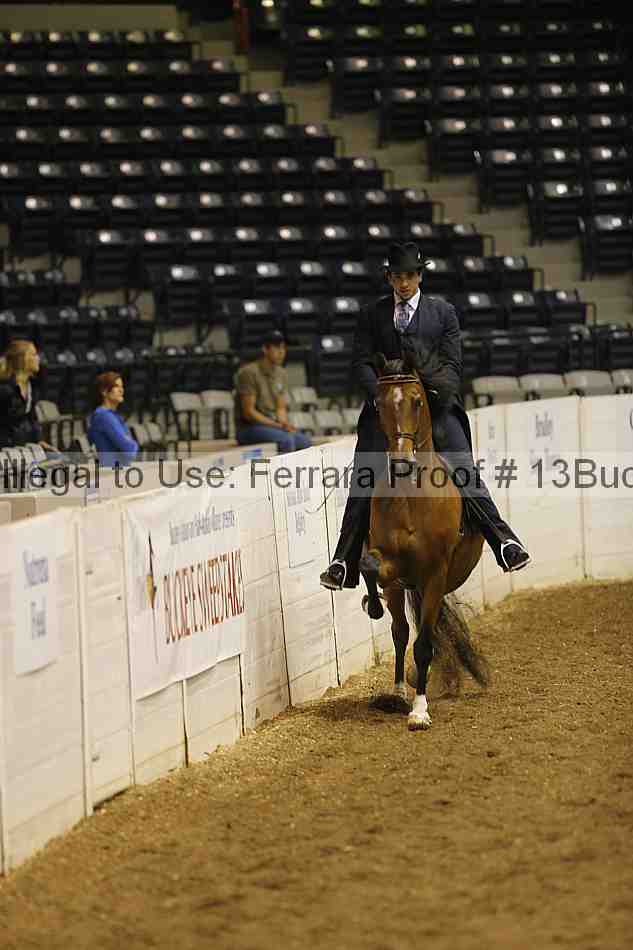 Proof Number 13buck_0056