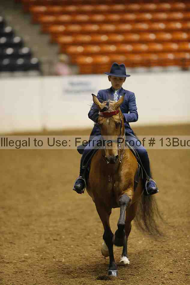 Proof Number 13buck_0058