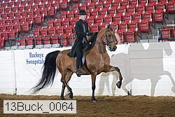 13buck_0064 thumbnail