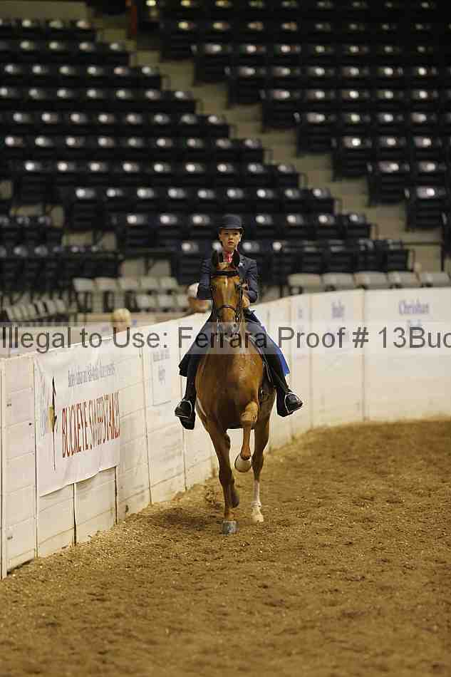 Proof Number 13buck_0070