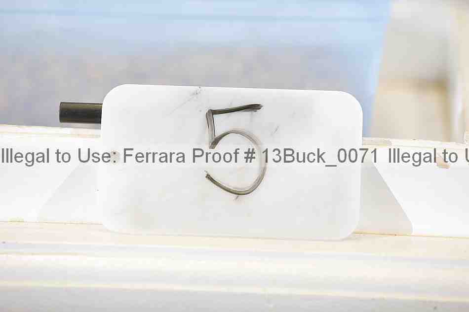 Proof Number 13buck_0071