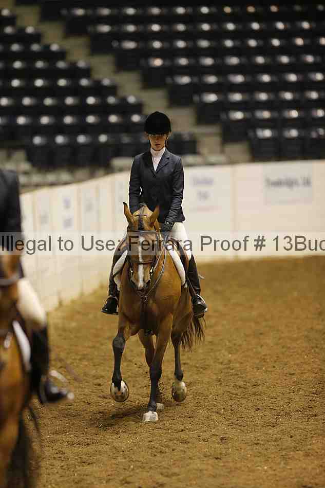 Proof Number 13buck_0095