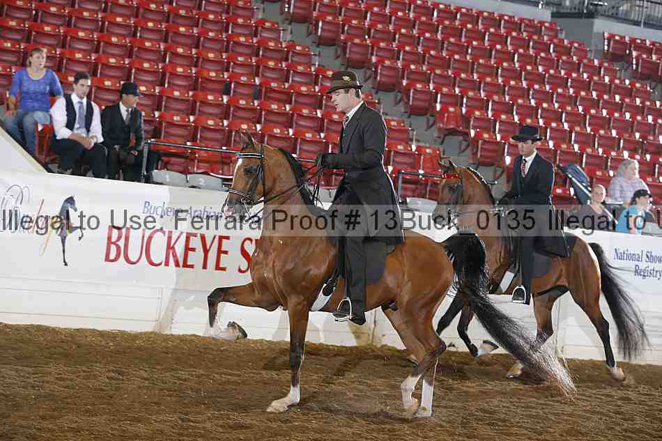 Proof Number 13buck_0135