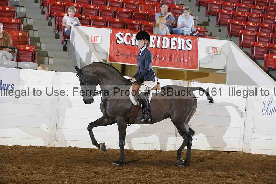 Proof Number 13buck_0161