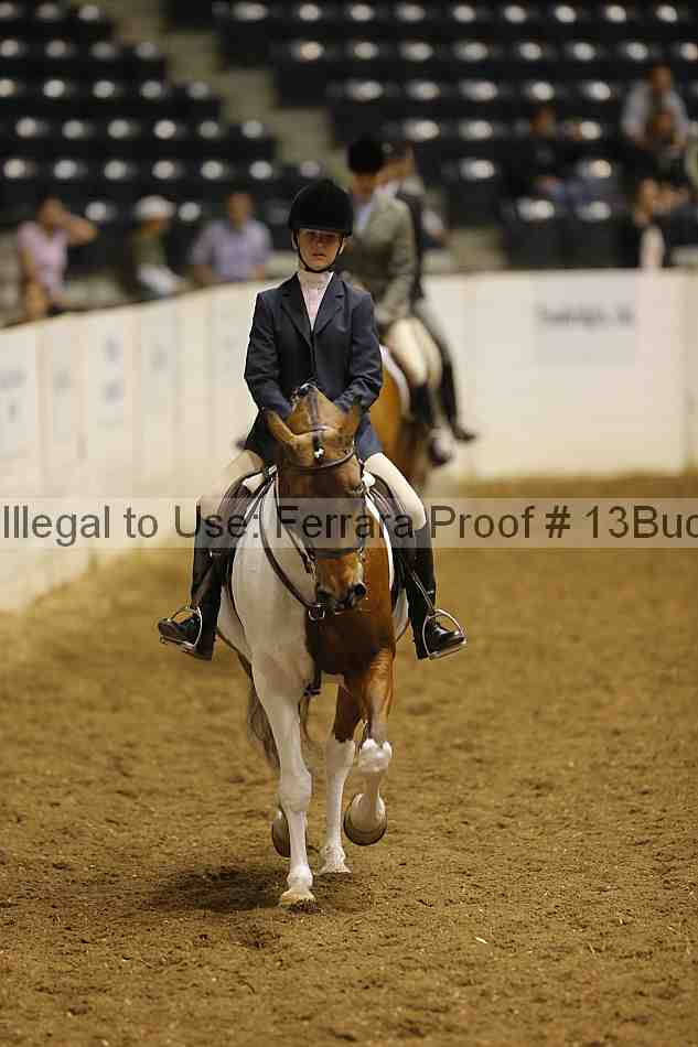 Proof Number 13buck_0181