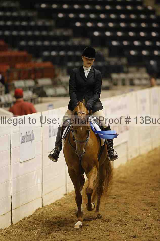 Proof Number 13buck_0205