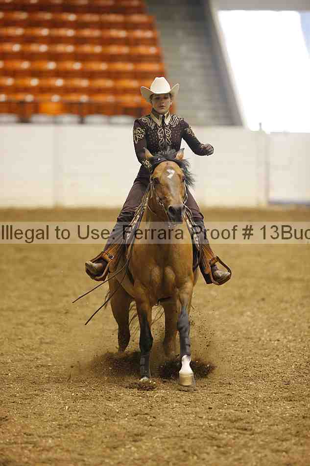 Proof Number 13buck_0224