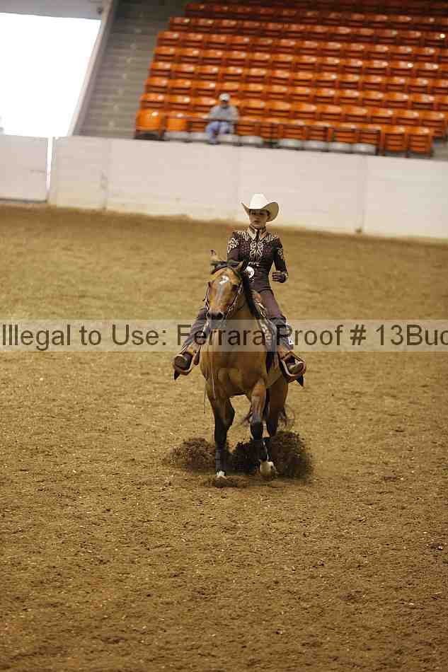 Proof Number 13buck_0225