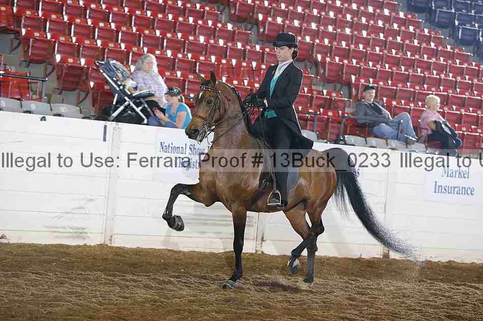 Proof Number 13buck_0233