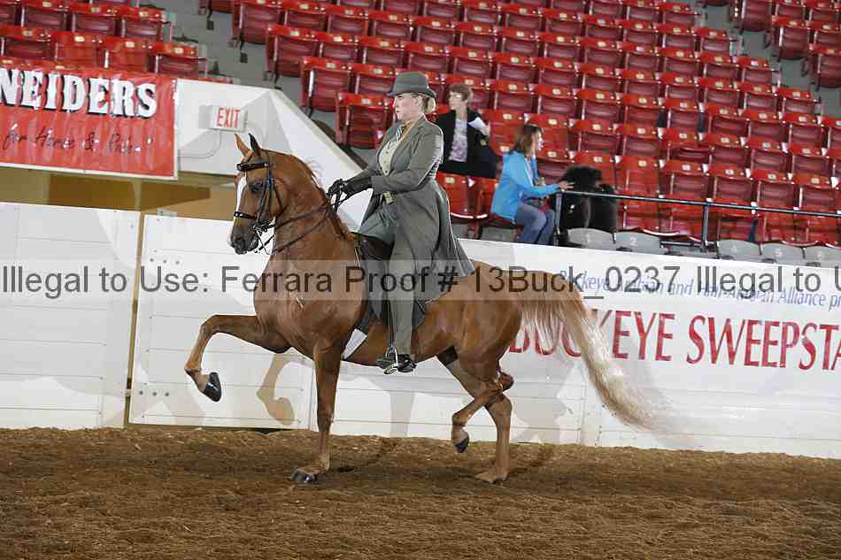Proof Number 13buck_0237