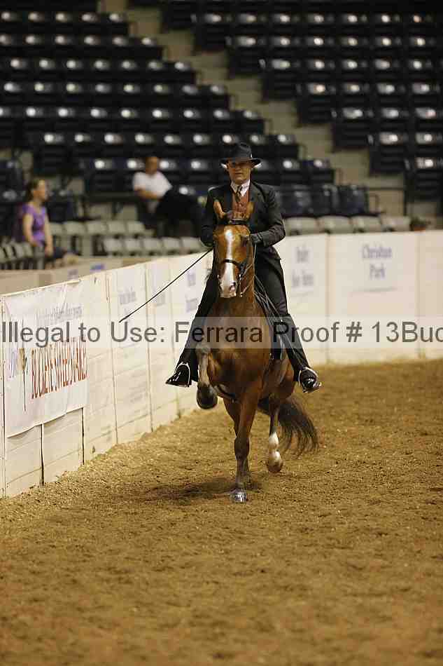 Proof Number 13buck_0263