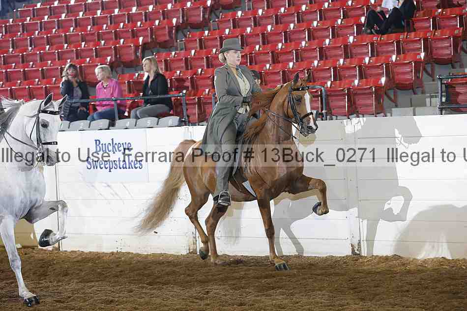 Proof Number 13buck_0271