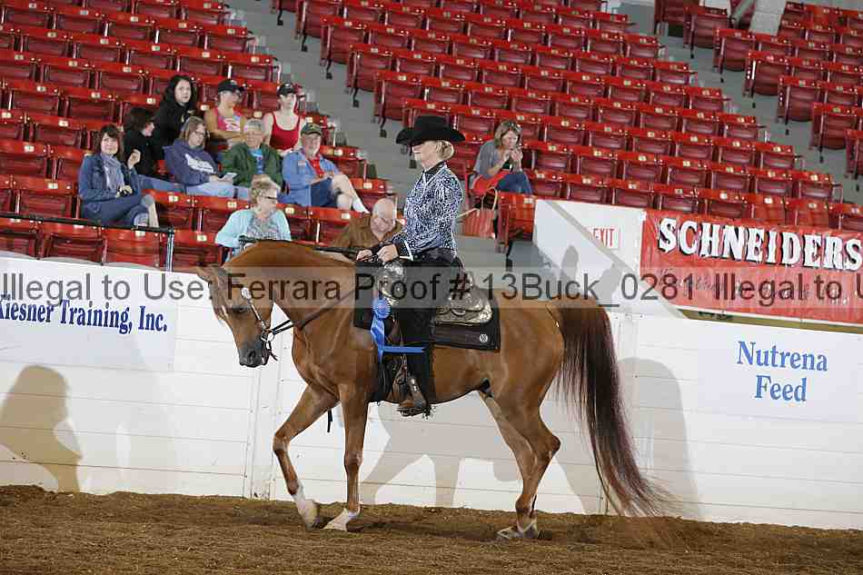 Proof Number 13buck_0281