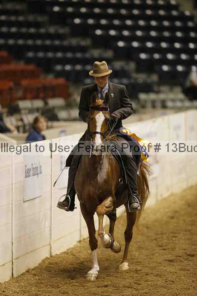 Proof Number 13buck_0307
