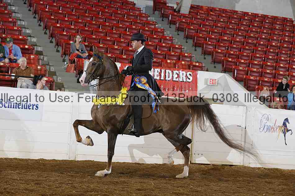 Proof Number 13buck_0308