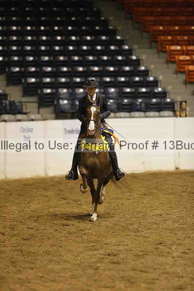 Proof Number 13buck_0310