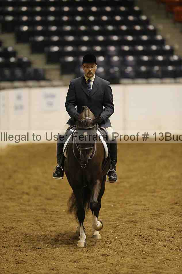 Proof Number 13buck_0324