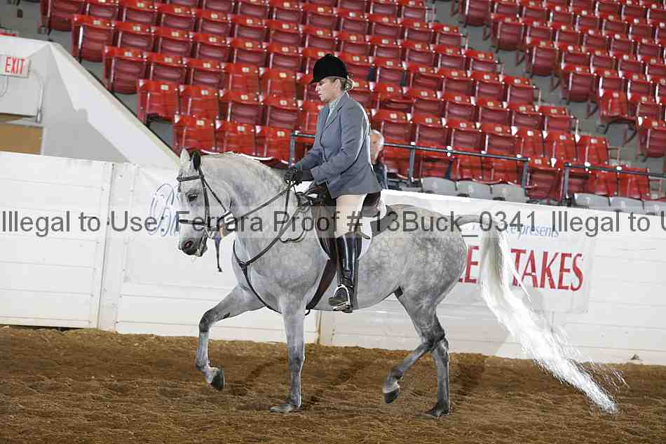 Proof Number 13buck_0341