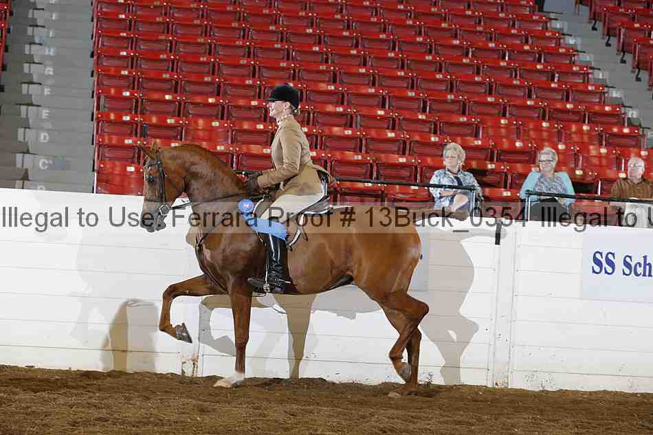 Proof Number 13buck_0354