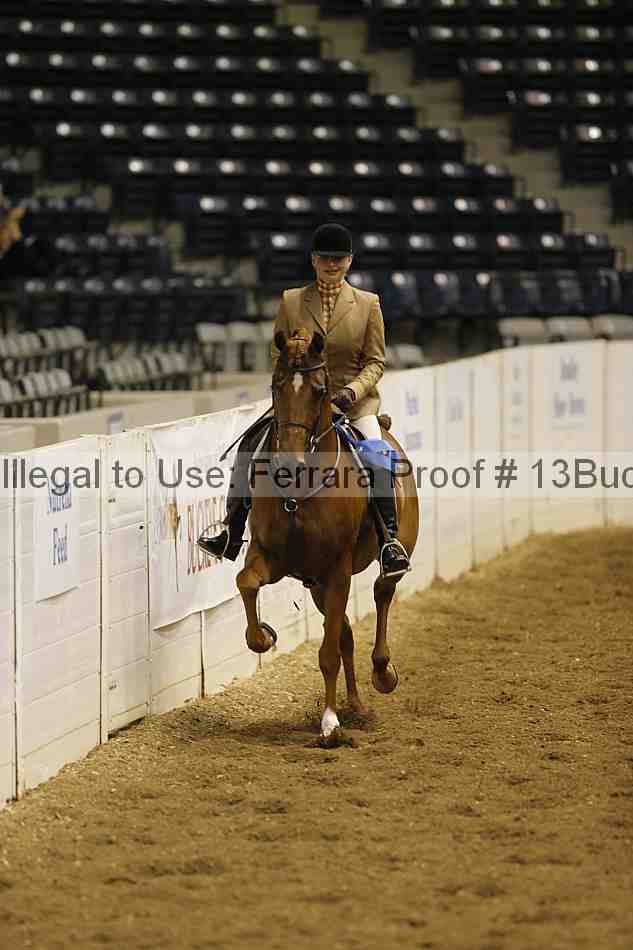 Proof Number 13buck_0355