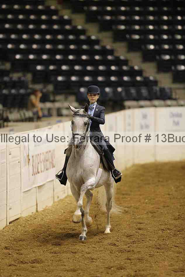Proof Number 13buck_0368
