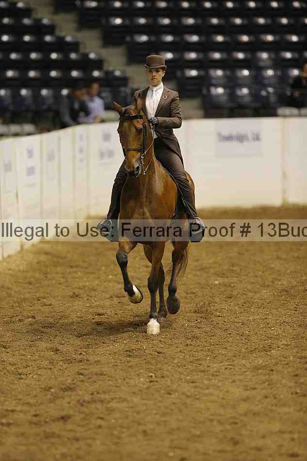 Proof Number 13buck_0398