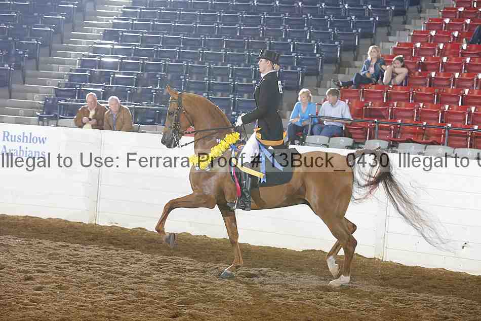 Proof Number 13buck_0430
