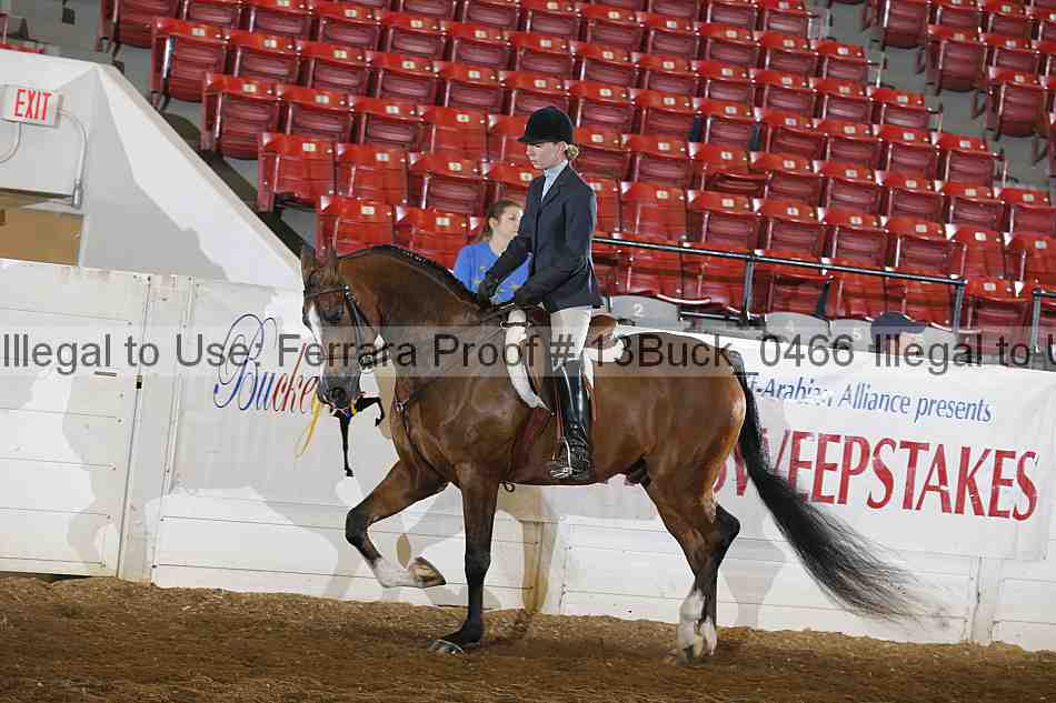 Proof Number 13buck_0466