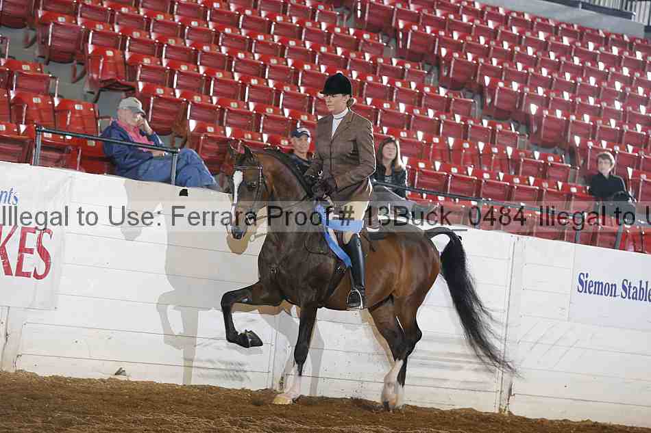 Proof Number 13buck_0484