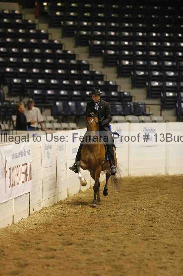 Proof Number 13buck_0516
