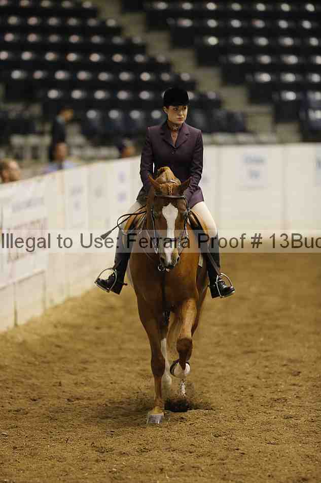 Proof Number 13buck_0545