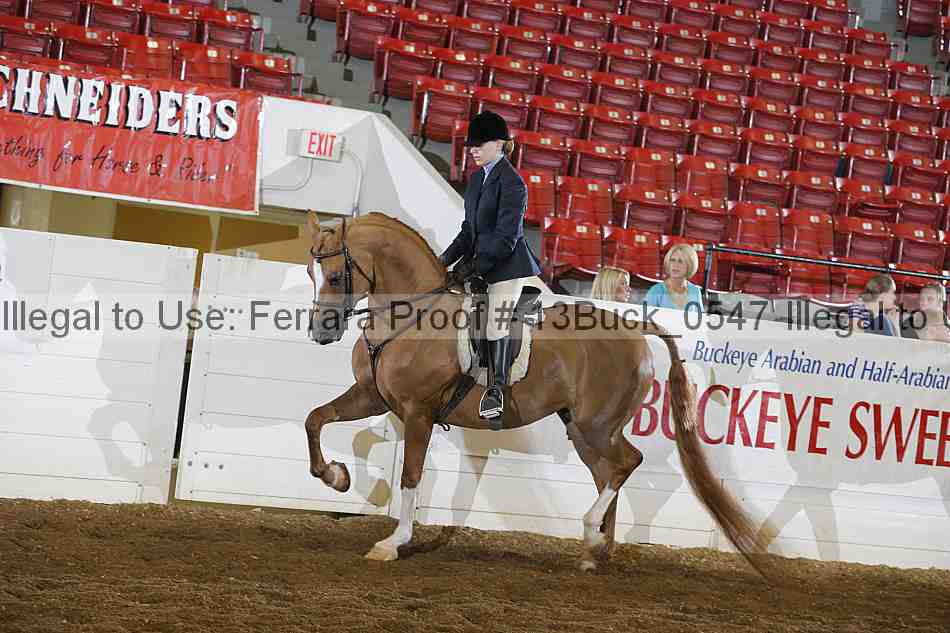 Proof Number 13buck_0547
