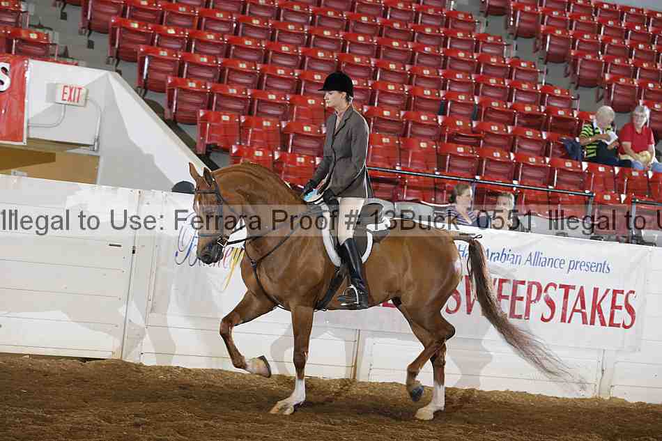 Proof Number 13buck_0551