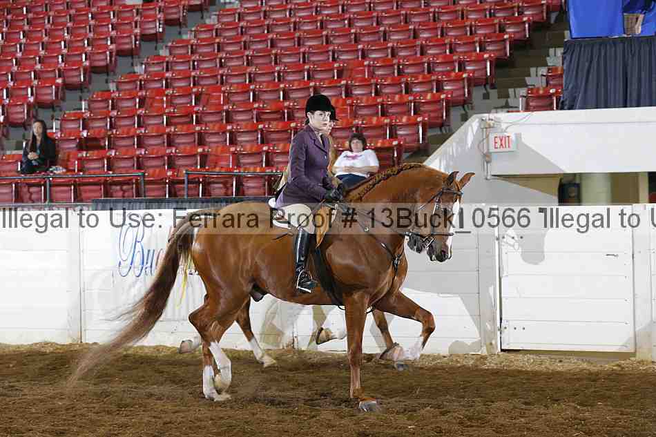 Proof Number 13buck_0566
